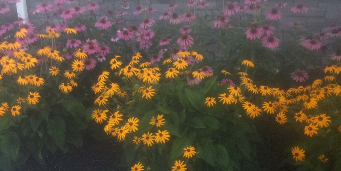 Mosher's Landscaping LLC Gallery Baldwinsville NY